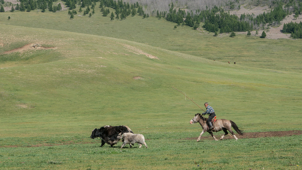 Découvrir la Mongolie à cheval
