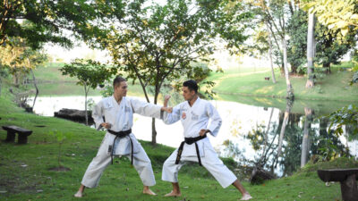 Karaté vs Taekwondo