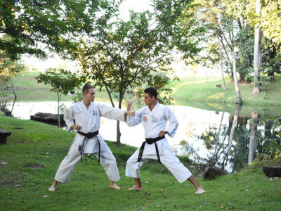 Karaté vs Taekwondo