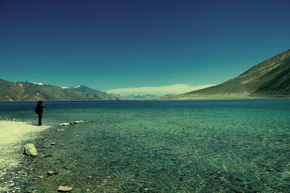 Ladakh trekking