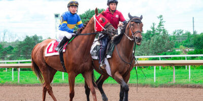 casque équitation