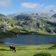 Découvrez ce parc de loisirs dans les Pyrénées !