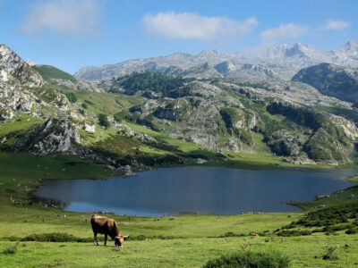 Découvrez ce parc de loisirs dans les Pyrénées !