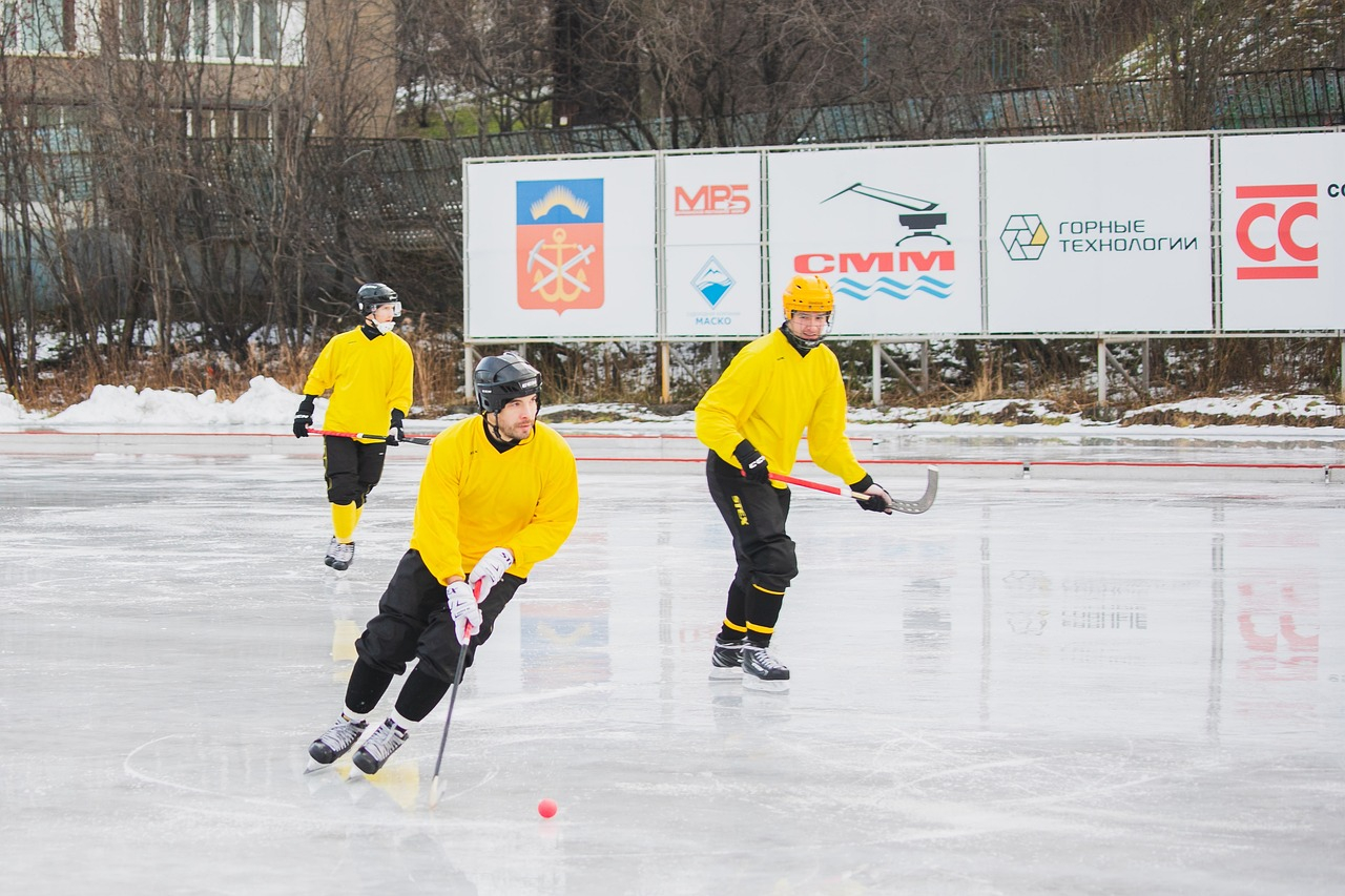 hockey glace