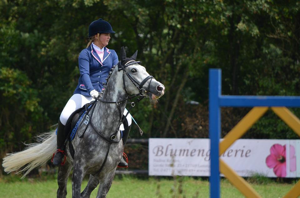 jeux équitation