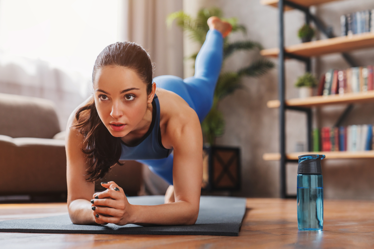 programme de musculation