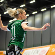 sanction handball