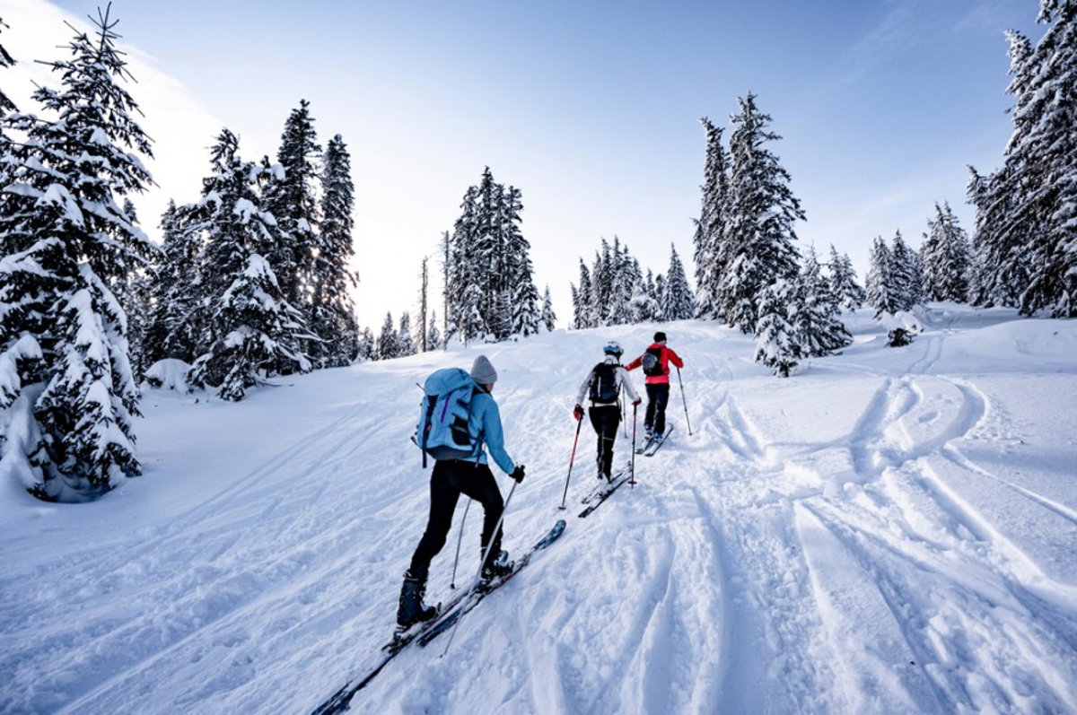 ski randonnée