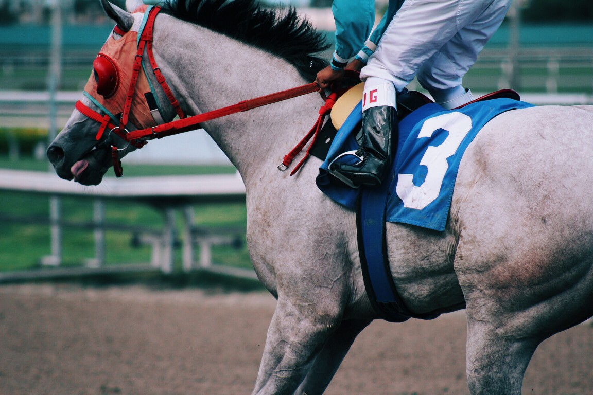 tour équitation